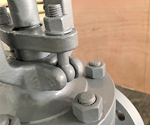 API 2½ CL150 55Ni-21Cr-13.5Mo / 58Ni-33Cr-8Mo Globe Valve 