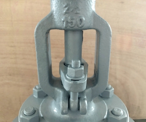 API 2½ CL150 55Ni-21Cr-13.5Mo / 58Ni-33Cr-8Mo Globe Valve 