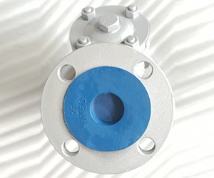 API Strainer CL150 2 IN WCB 