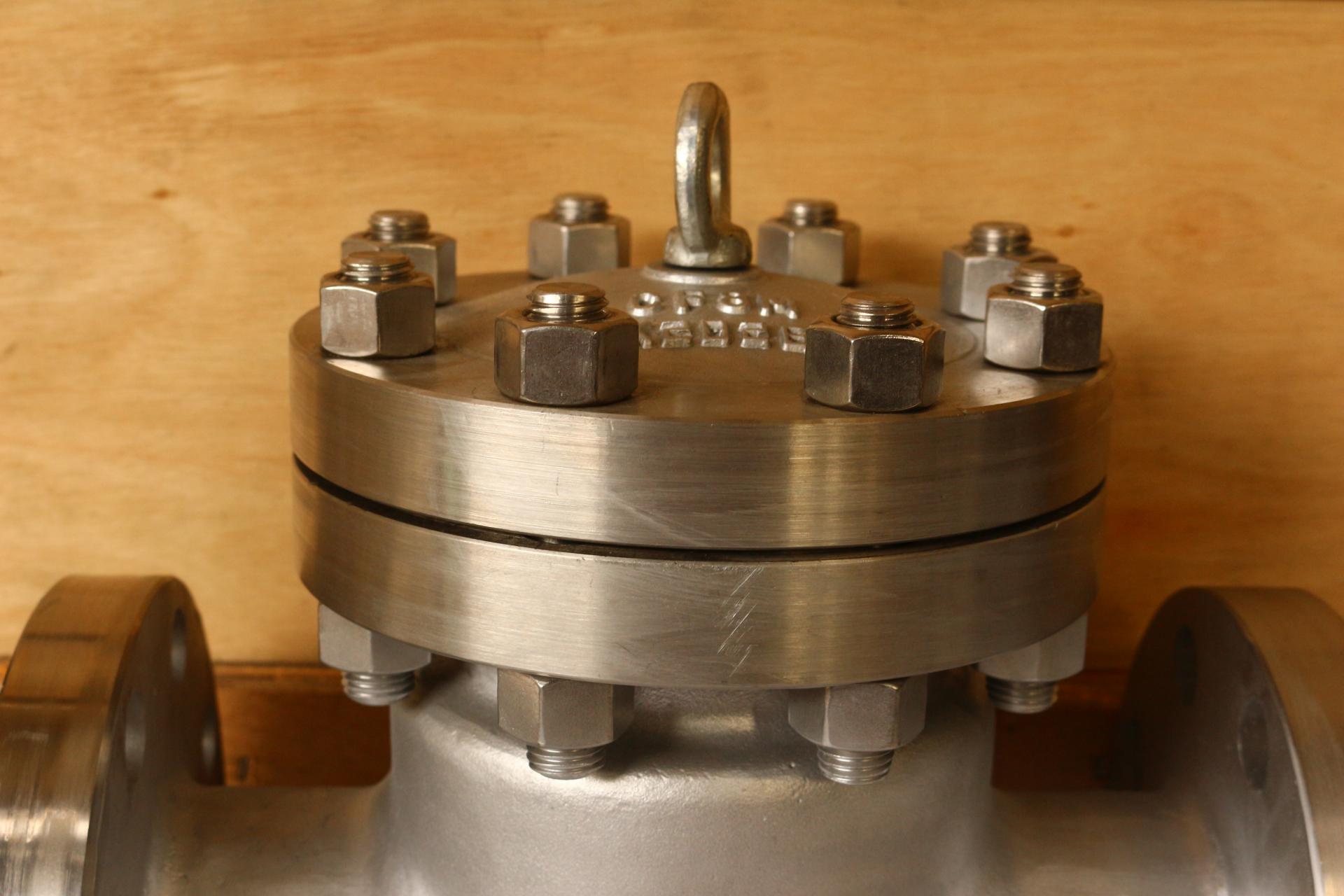 DIN Stainless Steel 316 Check Valve PN100 DN80  RF 