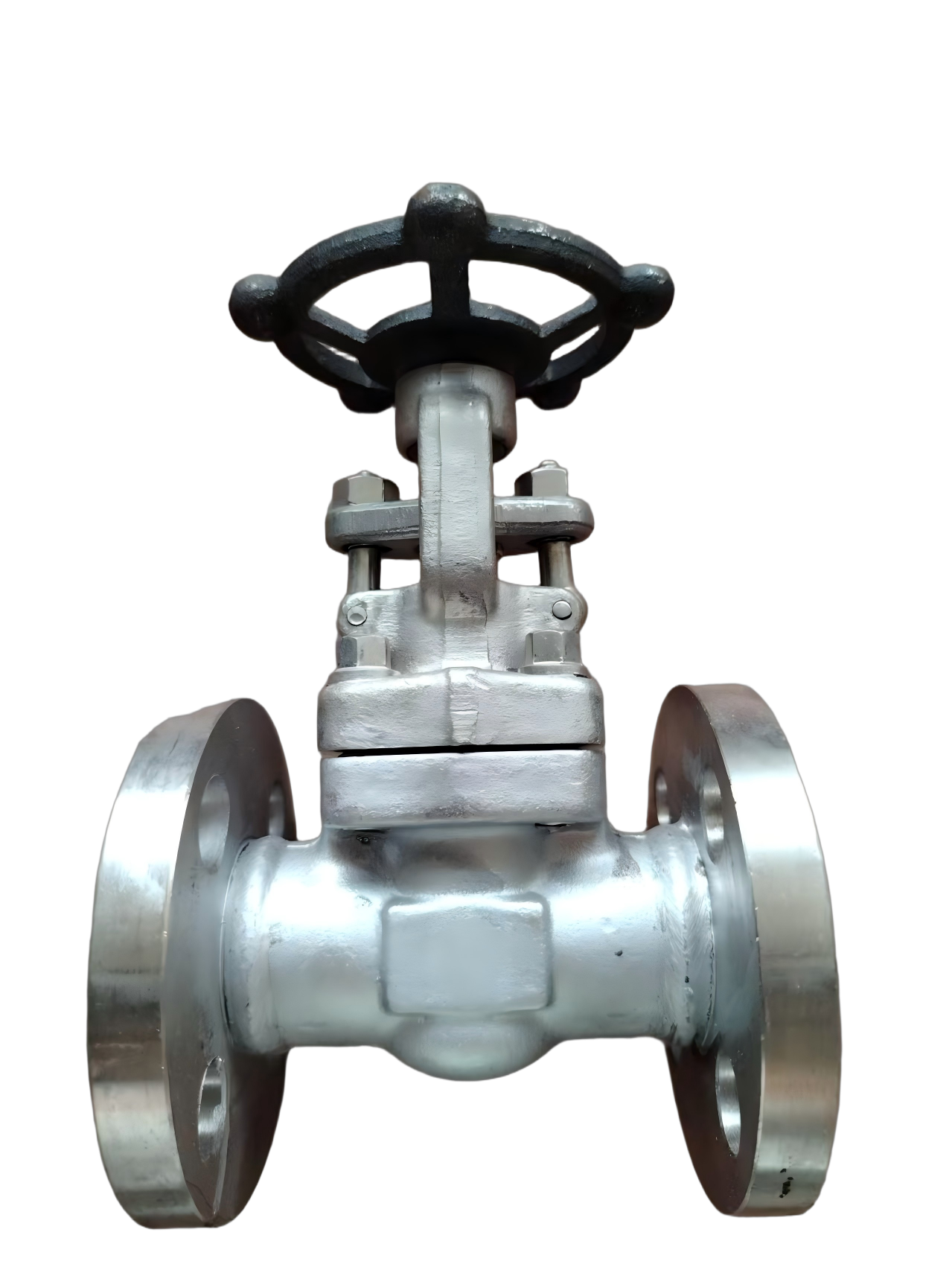  API Forged Stainless Steel Gate Valve Class 150 3/4 In Flanged 